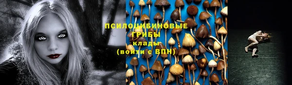 ГАЛЛЮЦИНОГЕННЫЕ ГРИБЫ Елизово