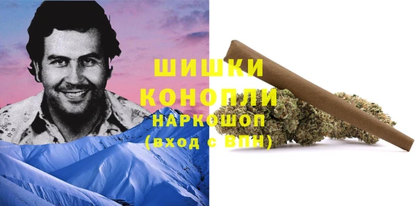apvp Ельня