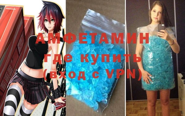 apvp Ельня
