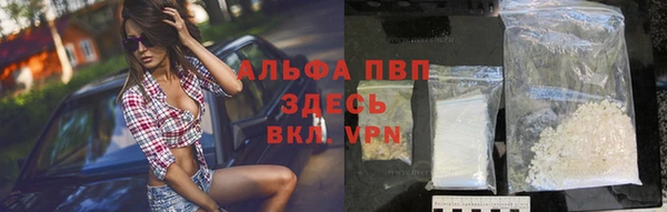 apvp Ельня