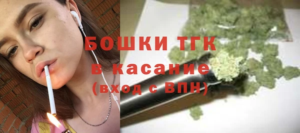 apvp Ельня