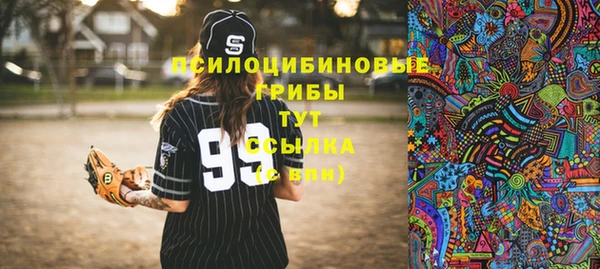 ГАЛЛЮЦИНОГЕННЫЕ ГРИБЫ Елизово