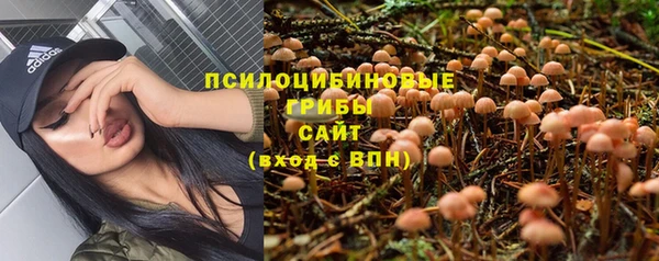apvp Ельня