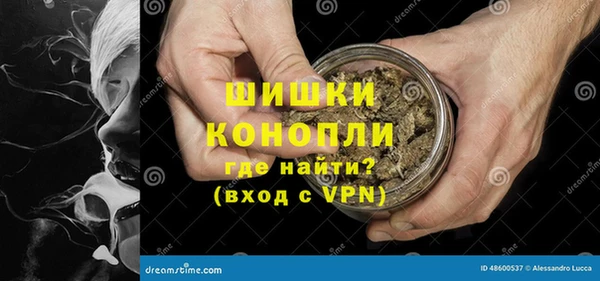 apvp Ельня