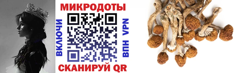 Купить  Кириллов  Псилоцибиновые грибы ЛСД 